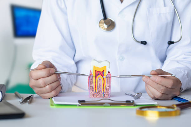 Best Chipped Tooth Repair Near Me  in Pion Hills, CA